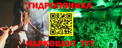 мяу мяу мука Бийск