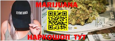 индика Беслан