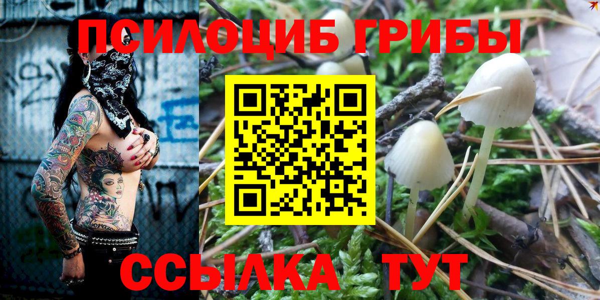 Псилоцибиновые грибы прущие грибы  Вход с VPN  Иваново  наркошоп  Галлюциногенные грибы MAGIC MUSHROOMS 