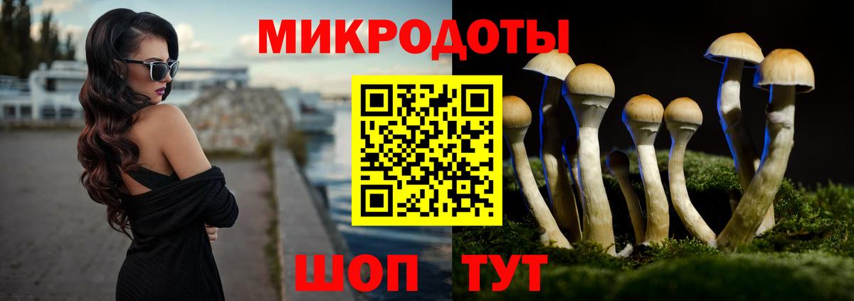 Галлюциногенные грибы Psilocybe Иваново
